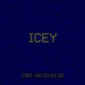 ICEY - Skepta