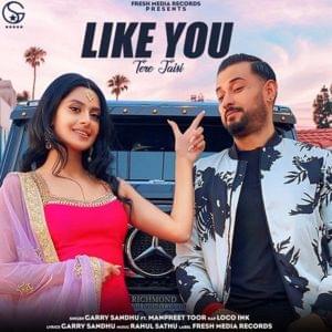 Like U (Tere Jaisi) - Garry Sandhu (Ft. LOCO INK & Manpreet Toor)