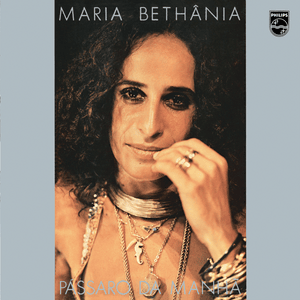 Texto de Clarice Lispector com fundo musical Um Índio / O Que Será (À Flor da Terra) - Maria Bethânia