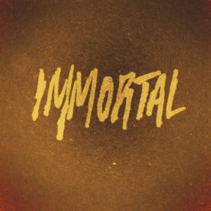 Kid Cudi - Immortal (Traduction Française) - Lyrxo traductions françaises