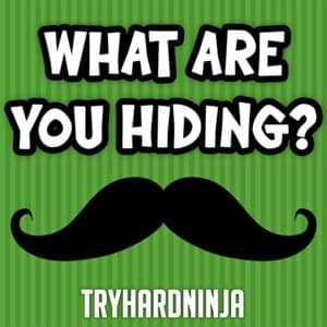 What Are You Hiding - TryHardNinja