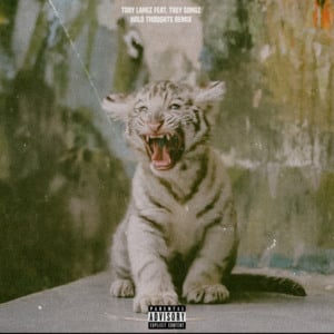 Wild Thoughts (Remix) - Tory Lanez (Ft. Trey Songz)