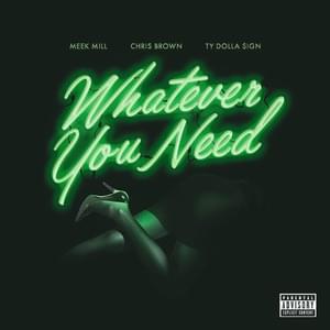 Whatever You Need - Meek Mill (Ft. Chris Brown & Ty Dolla $ign)