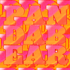 ​playing the long game - Panda Bear