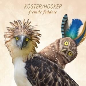 Wirbelstürm - Köster & Hocker