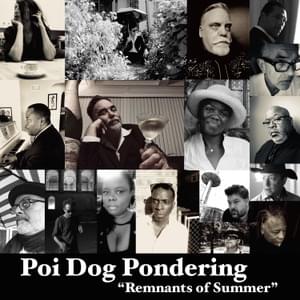 Rip It Up - Poi Dog Pondering