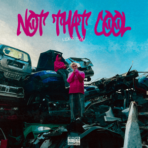 Not That Cool - LEX & t-low