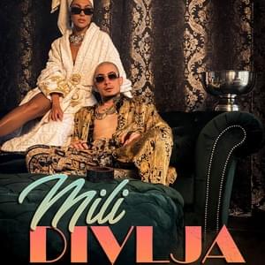 Divlja - Mili