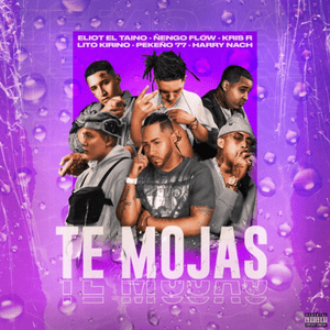 Te Mojas - Ñengo Flow, Eliot El Taino, Kris R, Harry Nach, Pekeño 77 & Lito Kirino