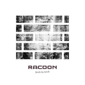 Brick By Brick - Racoon