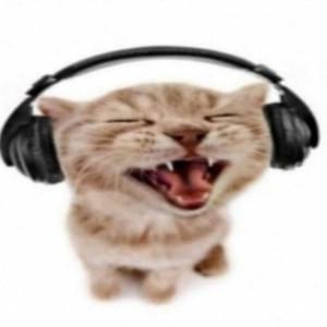 ​cat wit da headphones on - ​zeija