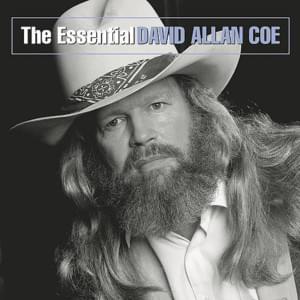 (If I Could Climb) The Walls Of This Bottle - David Allan Coe