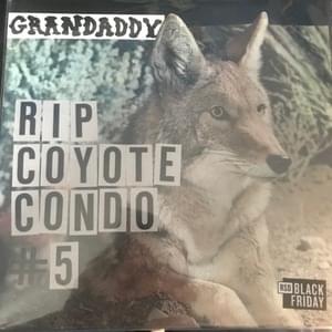 The Fox in the Snow - Grandaddy