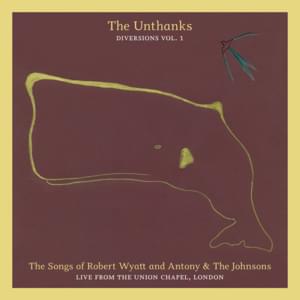 You Are My Sister - The Unthanks