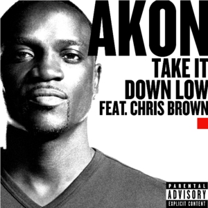 Take It Down Low - Akon (Ft. Chris Brown)