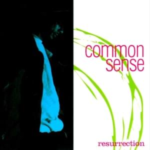 Another Wasted Nite With... - Common