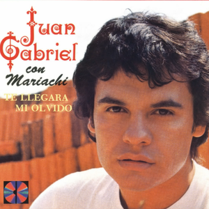 Te Quise Olvidar - Juan Gabriel