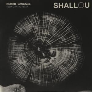 Older (Felix Cartal Remix) - Shallou & Daya