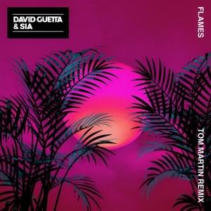 Flames (Tom Martin Remix) - David Guetta & Sia