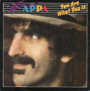 You Are What You Is - Frank Zappa