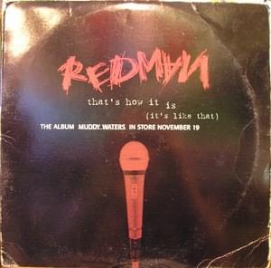 That’s How It Is (It’s Like That) - Redman