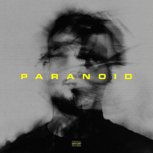 PARANOID - HAVAL