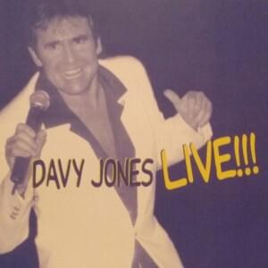 Wasted Days and Wasted Nights - Davy Jones