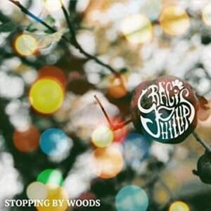 Stopping By Woods on a Snowy Evening (A Poem by Robert Frost) - Graci Phillips