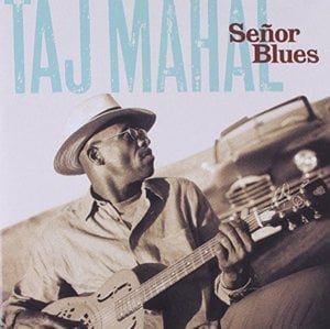 Having a Real Bad Day - Taj Mahal