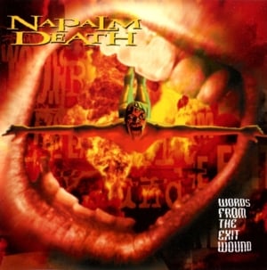 Next of Kin to Chaos - Napalm Death