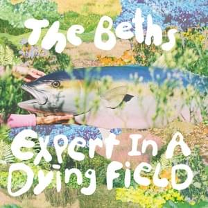 Knees Deep - The Beths