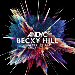 Indestructible (VIP) - Andy C & Becky Hill