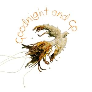 Goodnight and Go - Imogen Heap