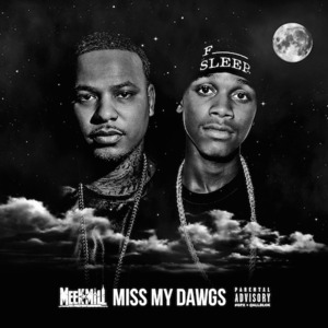 Miss My Dawgs - Meek Mill (Ft. Strap & Travis Scott)