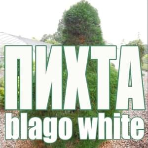 Пихта (Fir) - ​blago white