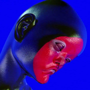 Fluid Silhouettes - Arca