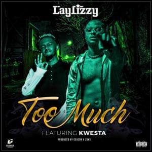 Too Much - Laylizzy (Ft. Kwesta)