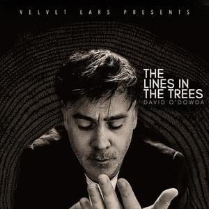 The Lines in the Trees - David O’Dowda