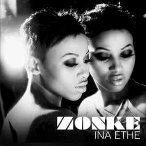 Jik’Izinto - Zonke