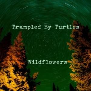 Wildflowers - Trampled by Turtles