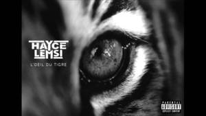 L’œil du tigre - Hayce Lemsi