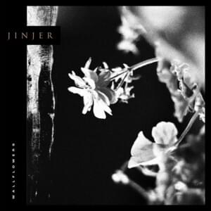 As I Boil Ice - Jinjer