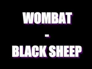 BLACK SHEEP - Wombat