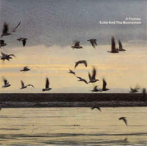 A Promise - Echo & the Bunnymen