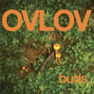 Strokes - Ovlov