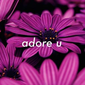 ​adore u - ​jules (R&B)