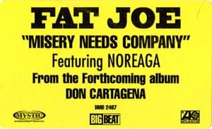 Misery Needs Company - Fat Joe (Ft. N.O.R.E.)