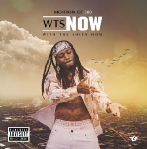 WTS Now - Montana of 300