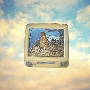 Cemetery Pigeons - Penelope Scott