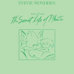 Come Back As a Flower - Stevie Wonder (Ft. Syreeta)